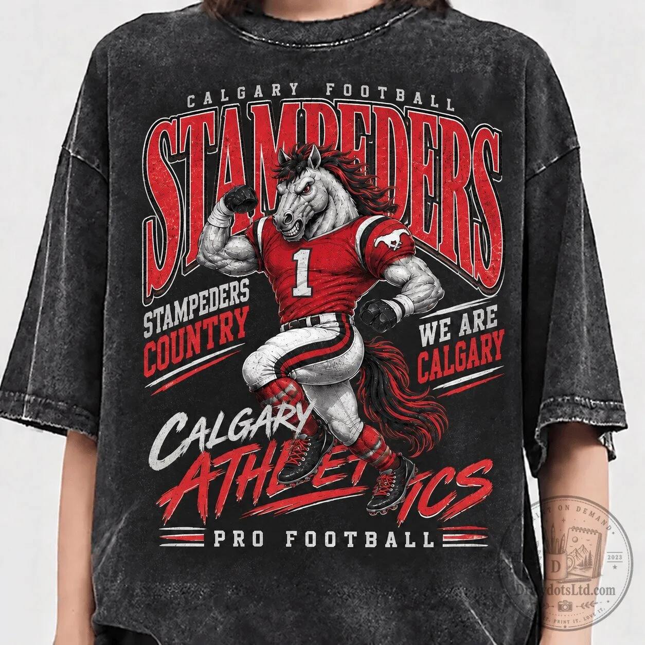 Calgary Stampeders Football 1st Fan T-Shirt Vintage Washed